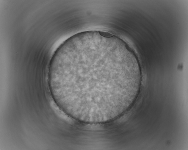 X0000113230952200910081402