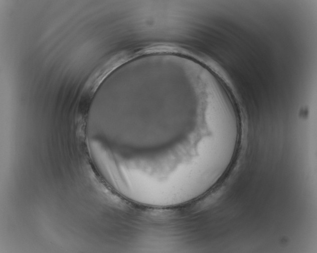 X0000113230953200910081402