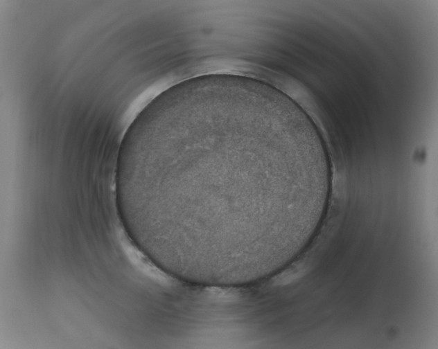 X0000113230954200910081402