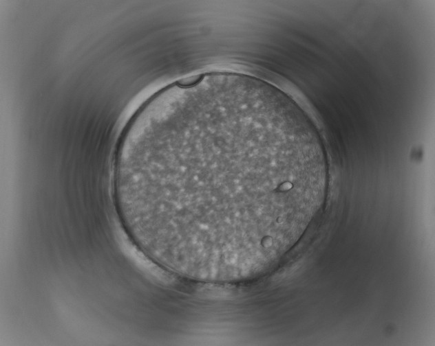 X0000113230955200910081402