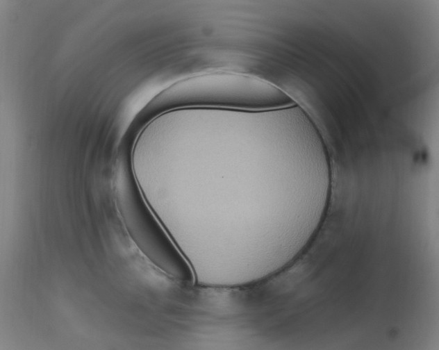 X0000113230956200910081402