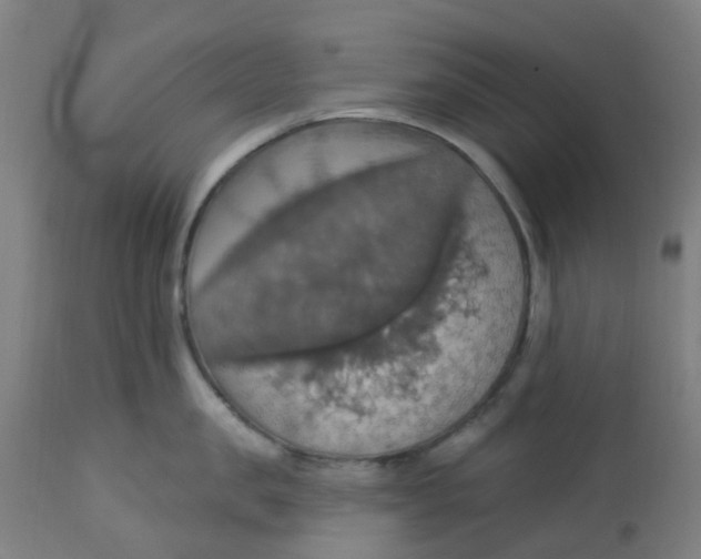 X0000113230957200910081402