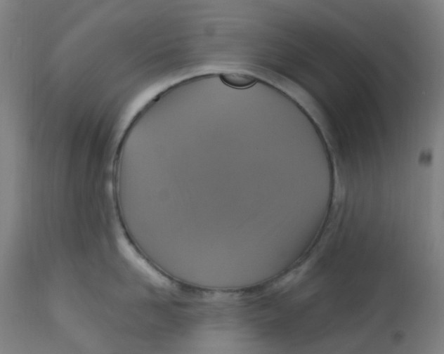 X0000113230958200910081402