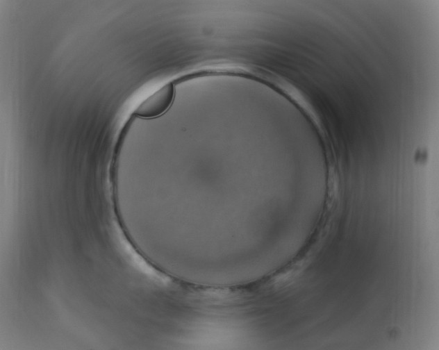 X0000113230959200910081402