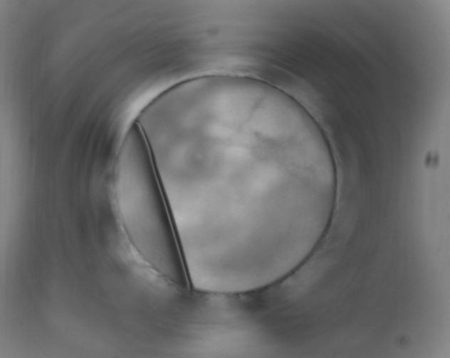 X0000113230960200910081402