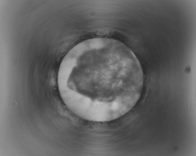 X0000113230962200910081402