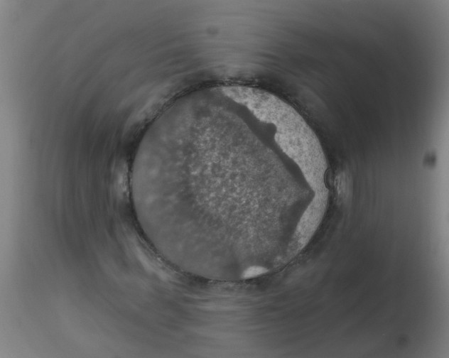 X0000113230963200910081402