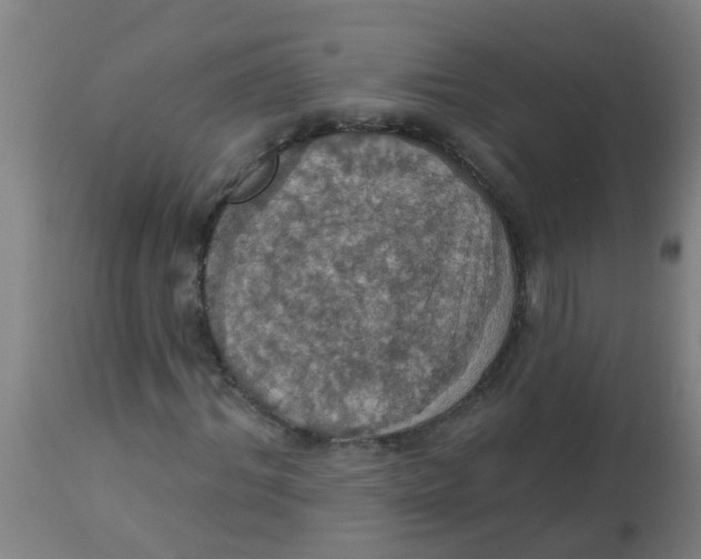 X0000113230964200910081402