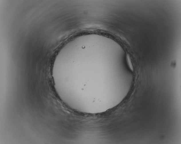 X0000113230965200910081402