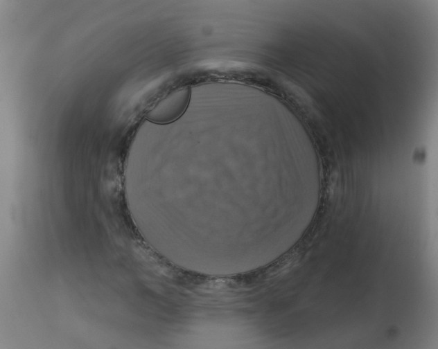 X0000113230966200910081402