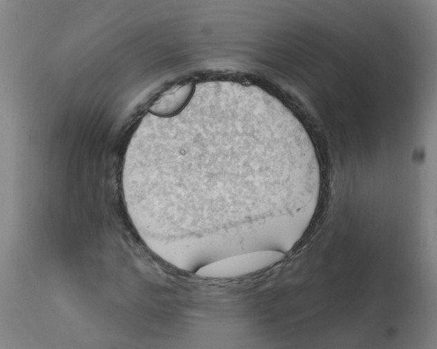 X0000113230968200910081402