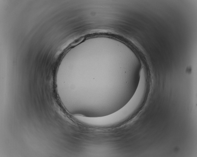 X0000113230969200910081402