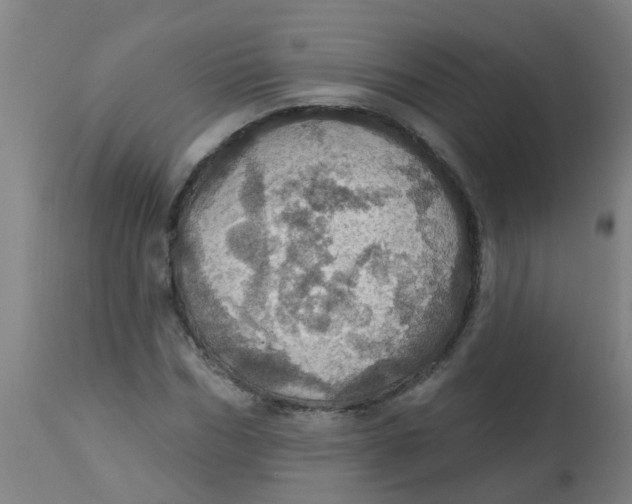 X0000113230970200910081402