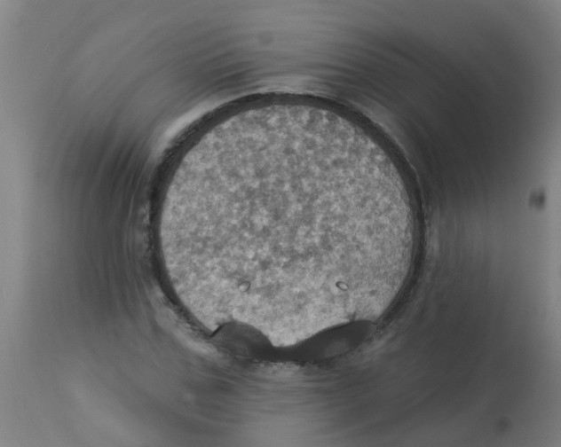 X0000113230971200910081402