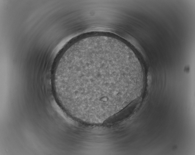 X0000113230972200910081402