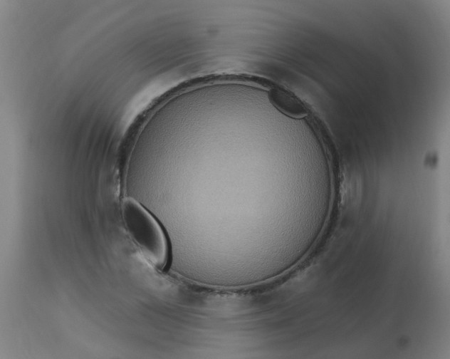 X0000113230973200910081402