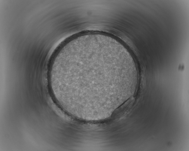 X0000113230976200910081402