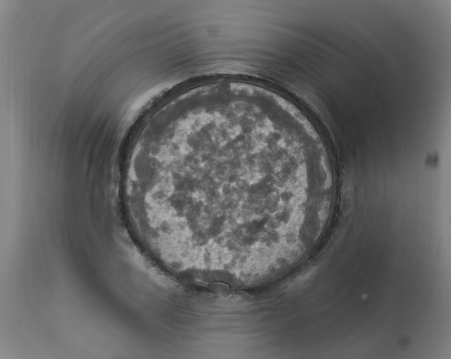 X0000113230979200910081401