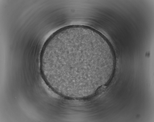 X0000113230980200910081401