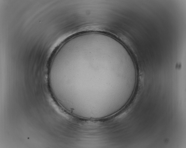 X0000113230981200910081401