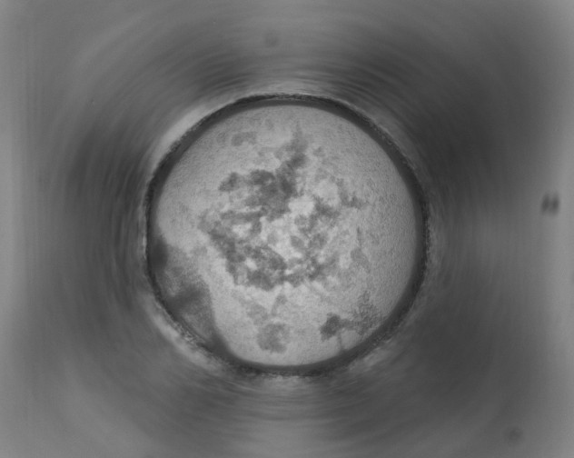 X0000113230982200910081401