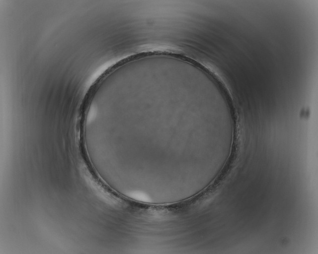 X0000113230983200910081401