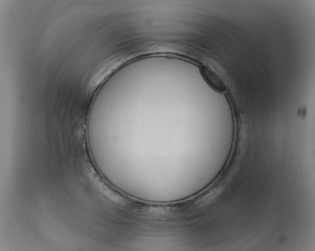 X0000113230985200910081401