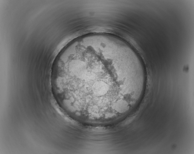 X0000113230986200910081401