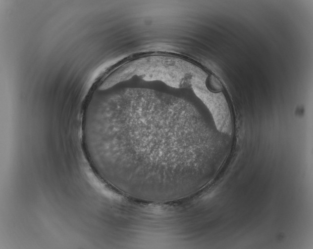 X0000113230987200910081401