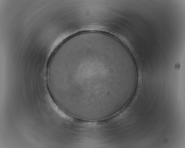 X0000113230990200910081401