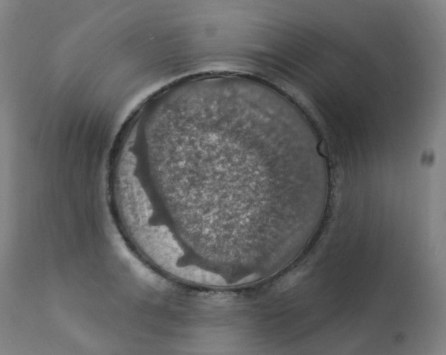 X0000113230991200910081401