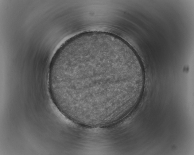 X0000113230992200910081401