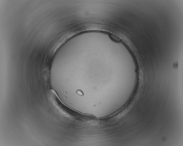 X0000113230993200910081401