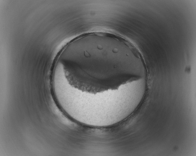 X0000113230995200910081401