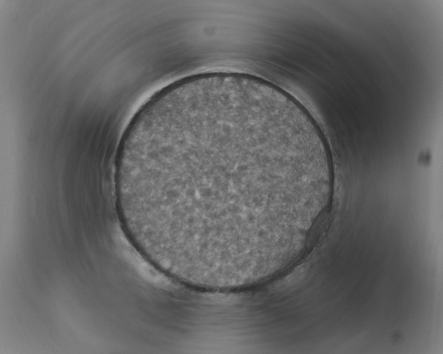 X0000113230996200910081401