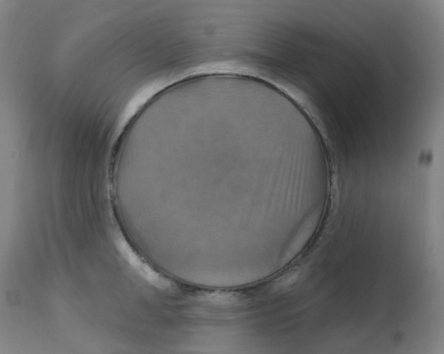 X0000113230998200910081401