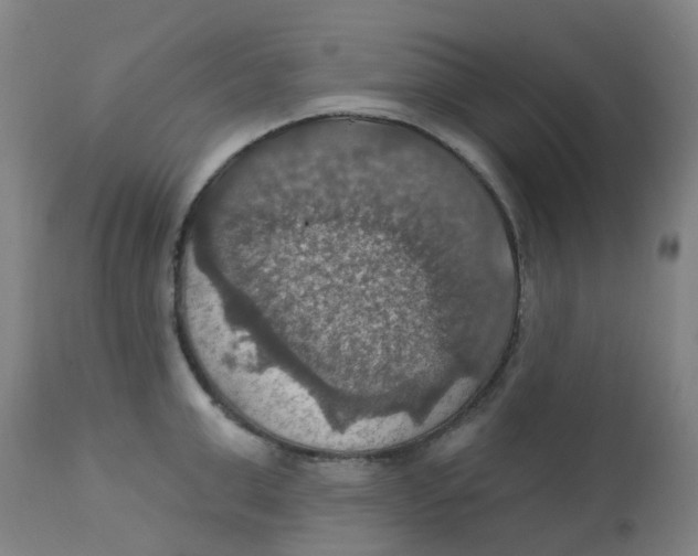 X0000113230999200910081401