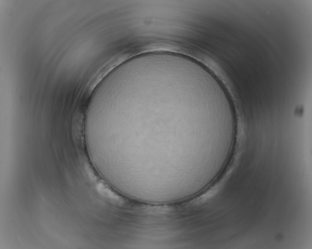 X0000113231001200910081401