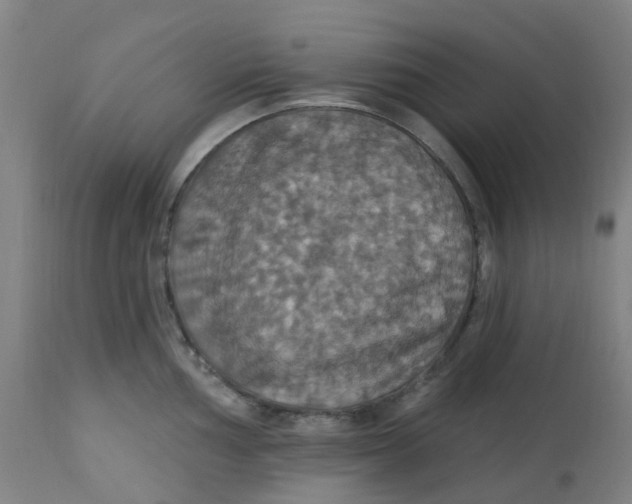 X0000113231002200910081401