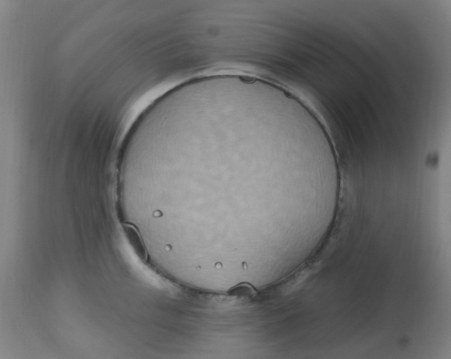 X0000113231003200910081401