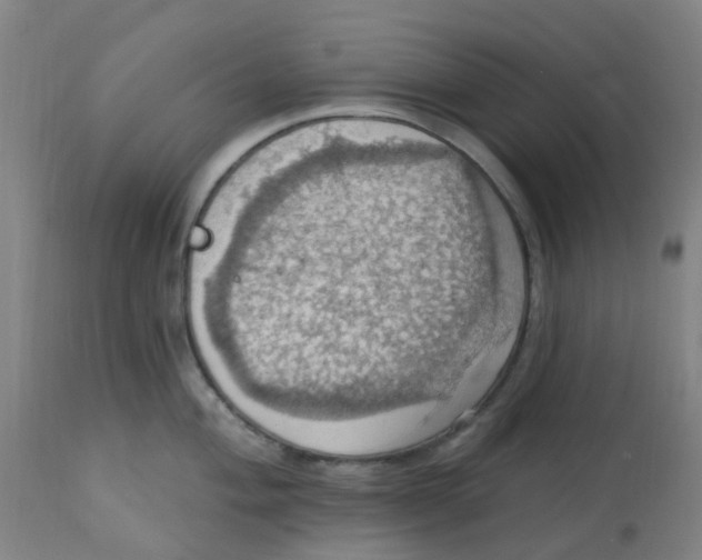 X0000113231004200910081401