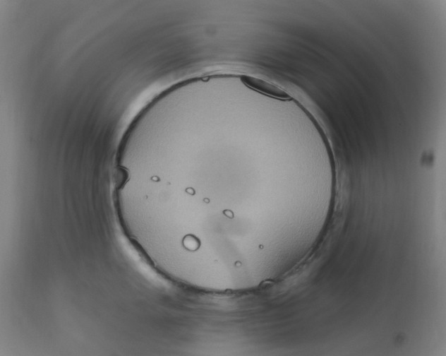 X0000113231005200910081401