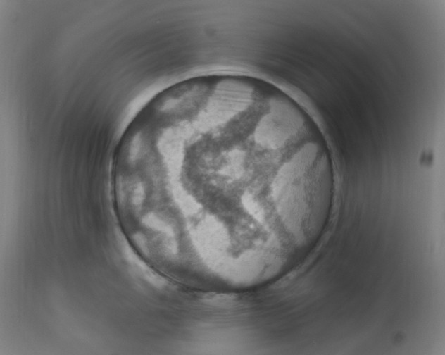 X0000113231006200910081401