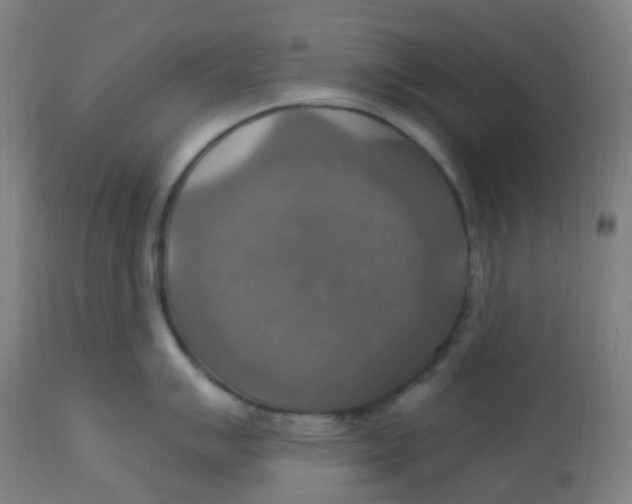 X0000113231007200910081401