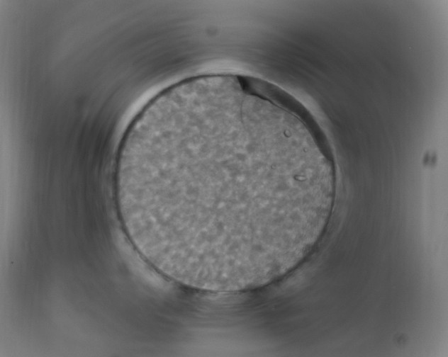 X0000113231008200910081401