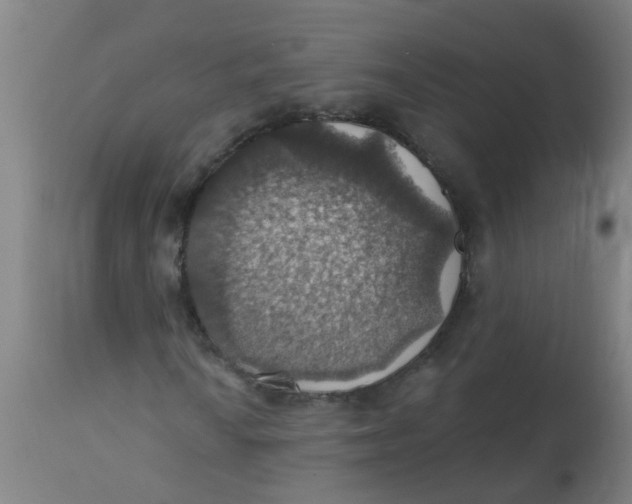 X0000113231010200910081400