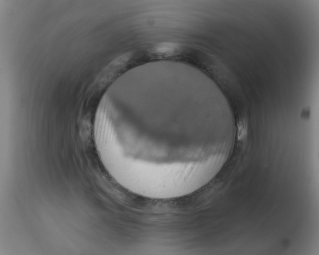 X0000113231011200910081400