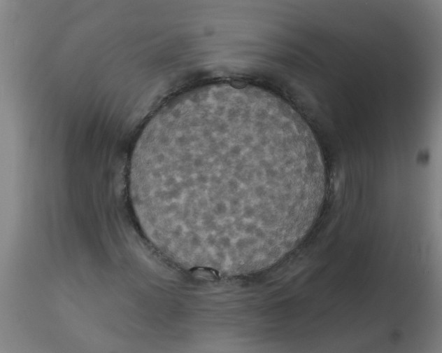 X0000113231012200910081400