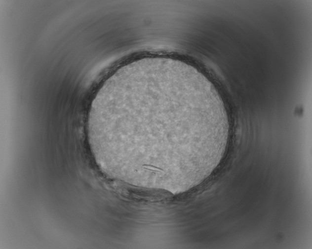 X0000113231016200910081400