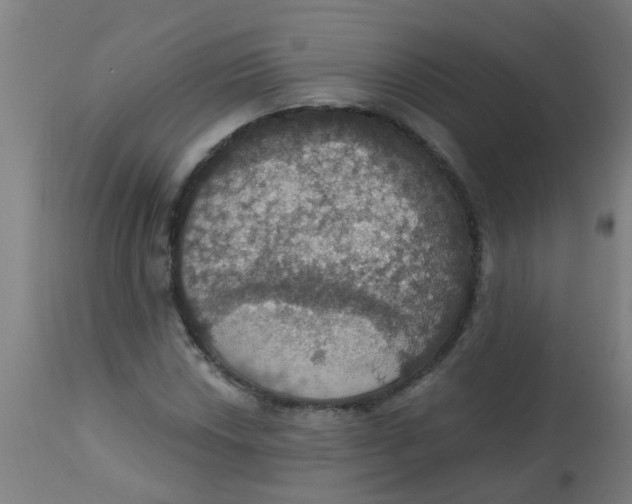 X0000113231018200910081400